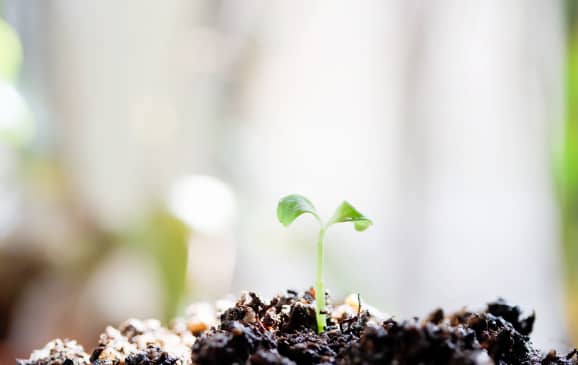 土壌汚染調査等